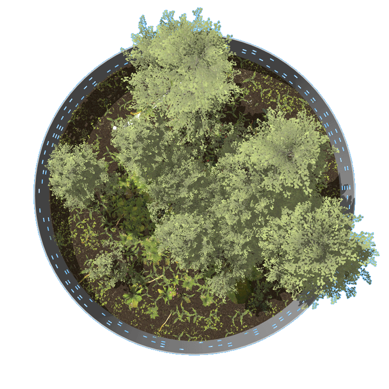 walledgarden